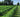 Know Your CBD - Know Your Farmers