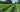 We’re Growing. And Growing. From Amish hemp farms to convenience store shelves, we’re on a mission.