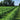 Know Your CBD - Know Your Farmers